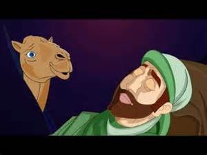 camel and arab