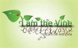 I am the Vine