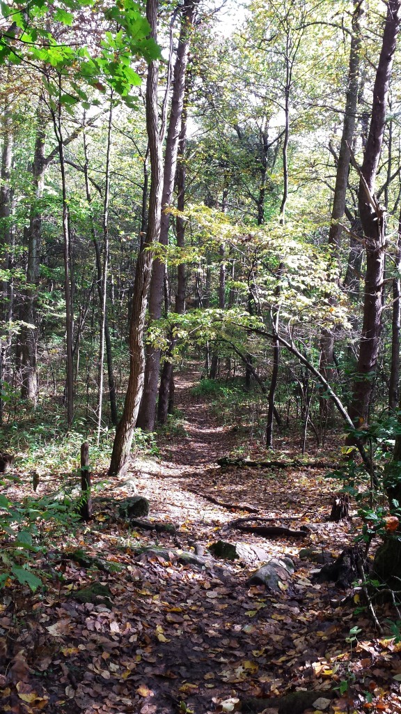 Hike-Inn level trail 1