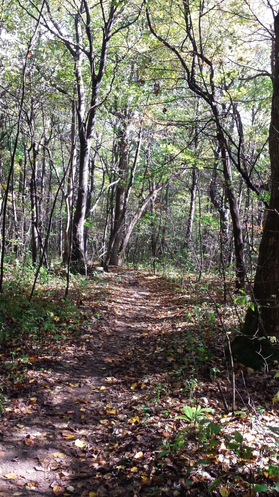 Hike-Inn level trail