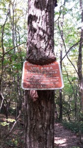 Hike-Inn sign eating tree