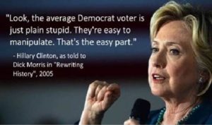 Hillary Dem voter stupid