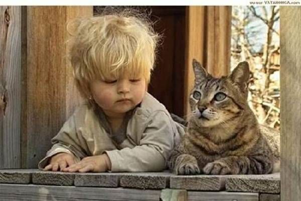 CHILD AND CAT