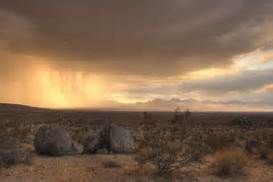 rain in desert